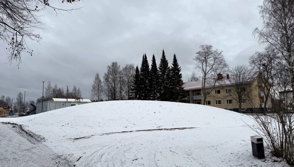 Kaupungintalon vieressä oleva niittykumpare.